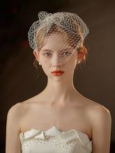 Simple White Mesh Veil