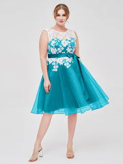 Illusion Ausschnitt Organza mit Elfenbein Spitze Applique Jade