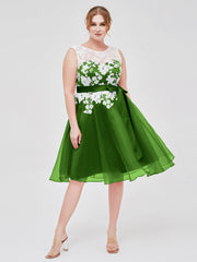 Illusion Ausschnitt Organza mit Elfenbein Spitze Applique Moos