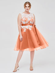 Illusion Ausschnitt Organza mit Elfenbein Spitze Applique Papaya