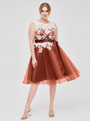Illusion Ausschnitt Organza mit Elfenbein Spitze Applique Rost