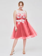 Illusion Ausschnitt Organza mit Elfenbein Spitze Applique Wassermelone
