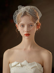 Simple White Mesh Veil