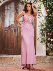 V-Ausschnitt Applikation Etui Korsett Mieder Jersey Lang Kleider Staubige Rosa