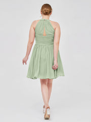 Staubiges Salbei